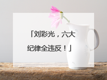 刘彩光，六大纪律全违反！