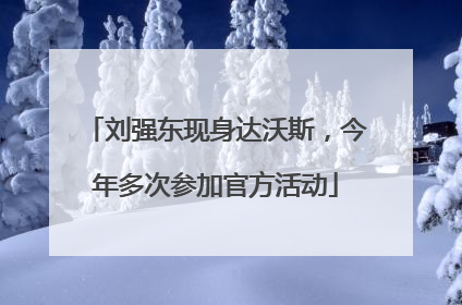 刘强东现身达沃斯，今年多次参加官方活动