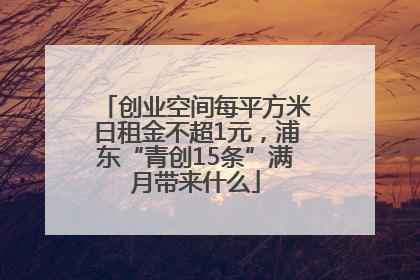 创业空间每平方米日租金不超1元，浦东“青创15条”满月带来什么