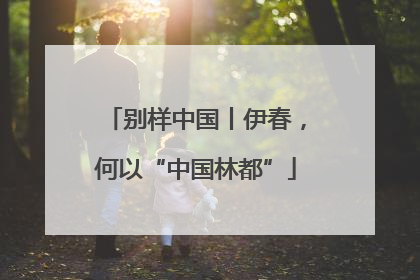 别样中国丨伊春，何以“中国林都”
