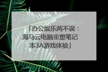 办公娱乐两不误：海马云电脑重塑笔记本3A游戏体验