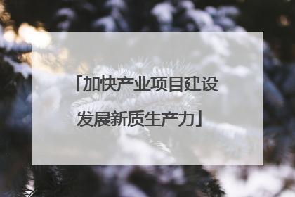 加快产业项目建设 发展新质生产力