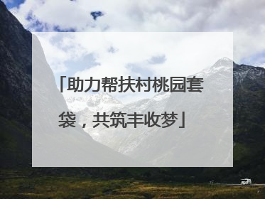 助力帮扶村桃园套袋，共筑丰收梦