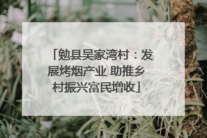 勉县吴家湾村：发展烤烟产业 助推乡村振兴富民增收