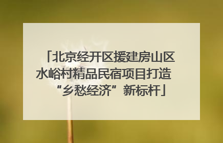 北京经开区援建房山区水峪村精品民宿项目打造“乡愁经济”新标杆