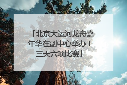 北京大运河龙舟嘉年华在副中心举办！三天六项比赛