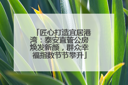 匠心打造宜居港湾：泰安直管公房焕发新颜，群众幸福指数节节攀升