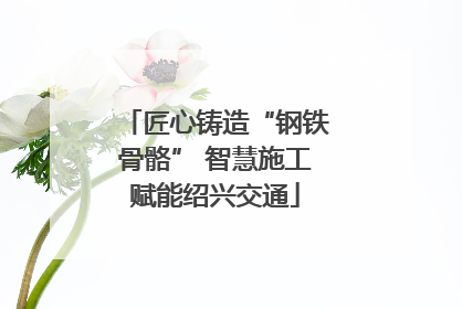 匠心铸造“钢铁骨骼” 智慧施工赋能绍兴交通