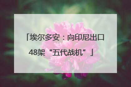 埃尔多安：向印尼出口48架“五代战机”