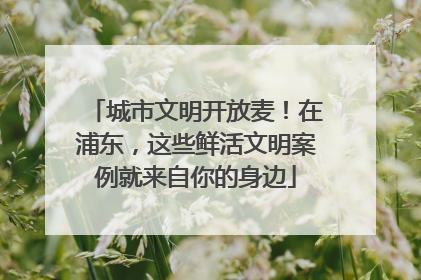 城市文明开放麦！在浦东，这些鲜活文明案例就来自你的身边