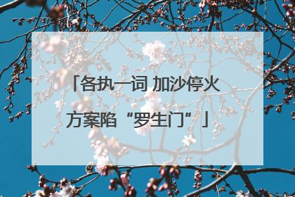 各执一词 加沙停火方案陷“罗生门”