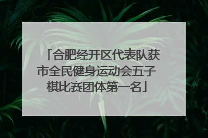 合肥经开区代表队获市全民健身运动会五子棋比赛团体第一名