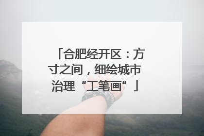 合肥经开区：方寸之间，细绘城市治理“工笔画”