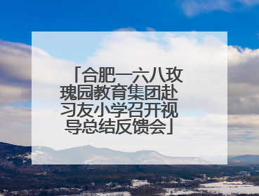 合肥一六八玫瑰园教育集团赴习友小学召开视导总结反馈会