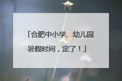 合肥中小学、幼儿园暑假时间，定了！