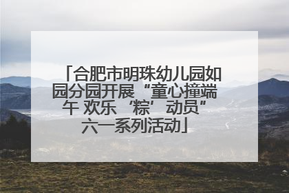 合肥市明珠幼儿园如园分园开展“童心撞端午 欢乐‘粽’动员”六一系列活动