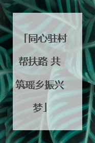 同心驻村帮扶路 共筑瑶乡振兴梦