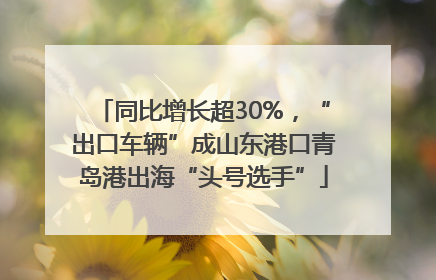 同比增长超30%，“出口车辆”成山东港口青岛港出海“头号选手”