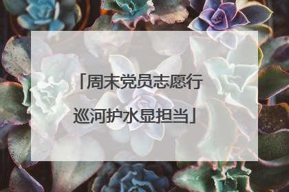 周末党员志愿行 巡河护水显担当