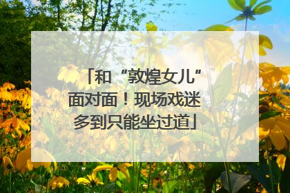 和“敦煌女儿”面对面！现场戏迷多到只能坐过道