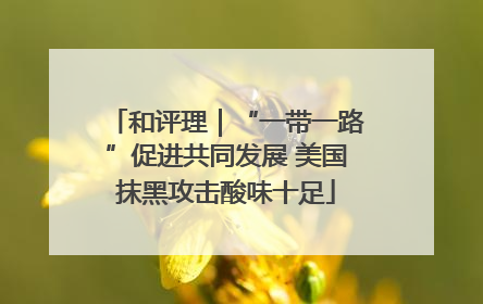 和评理｜“一带一路”促进共同发展 美国抹黑攻击酸味十足