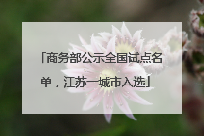 商务部公示全国试点名单，江苏一城市入选