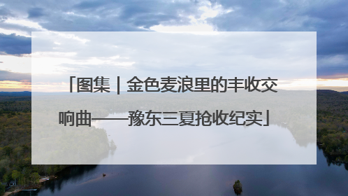 图集｜金色麦浪里的丰收交响曲——豫东三夏抢收纪实