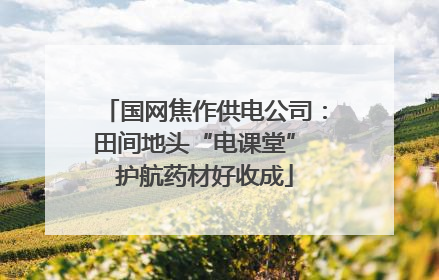 国网焦作供电公司：田间地头“电课堂” 护航药材好收成