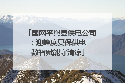 国网平舆县供电公司：迎峰度夏保供电  数智赋能守清凉