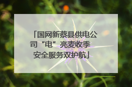 国网新蔡县供电公司“电”亮麦收季 安全服务双护航
