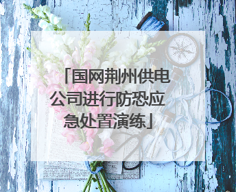 国网荆州供电公司进行防恐应急处置演练