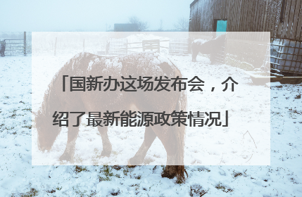 国新办这场发布会，介绍了最新能源政策情况