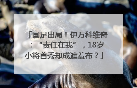 国足出局！伊万科维奇：“责任在我”，18岁小将首秀却成遮羞布？