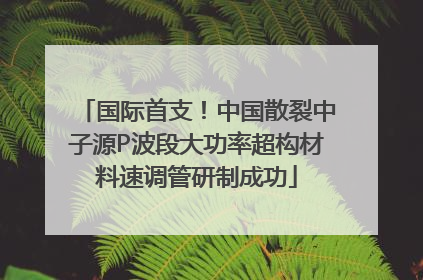 国际首支！中国散裂中子源P波段大功率超构材料速调管研制成功
