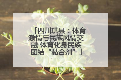 四川珙县：体育激情与民族风情交融 体育化身民族团结“黏合剂”