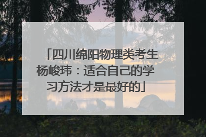 四川绵阳物理类考生杨峻玮：适合自己的学习方法才是最好的