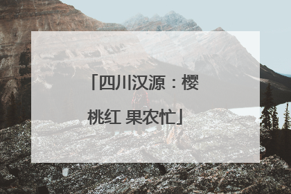 四川汉源：樱桃红 果农忙