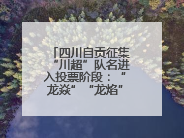 四川自贡征集“川超”队名进入投票阶段：“龙焱”“龙焰”暂居一二名