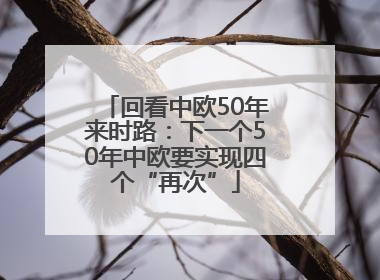 回看中欧50年来时路：下一个50年中欧要实现四个“再次”