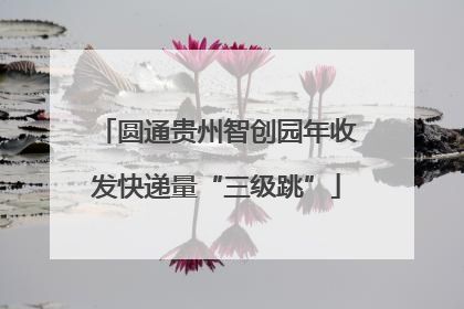 圆通贵州智创园年收发快递量“三级跳”