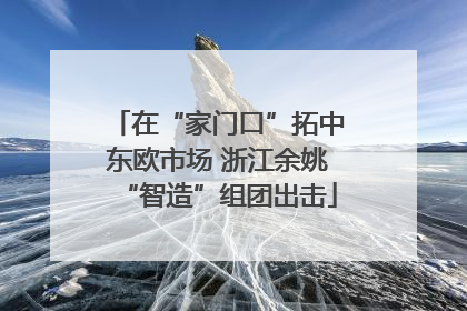 在“家门口”拓中东欧市场 浙江余姚“智造”组团出击