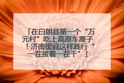 在白朗县第一个“万元村”吃上高原车厘子！济南援藏这样践行“一茬接着一茬干”