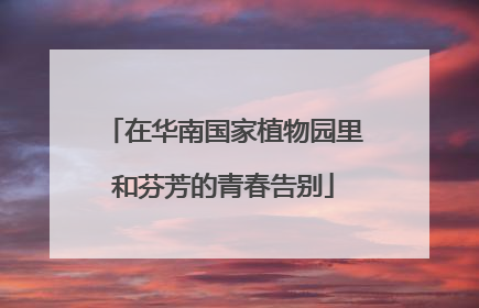 在华南国家植物园里和芬芳的青春告别