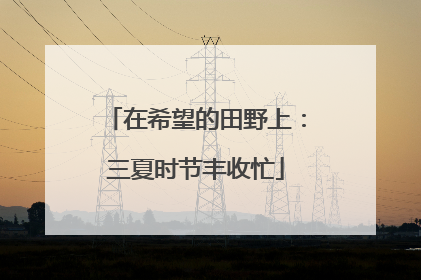 在希望的田野上：三夏时节丰收忙