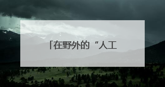 在野外的“人工产房”上，这些“鸟类大熊猫”在武汉生宝宝了