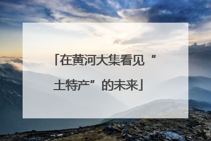 在黄河大集看见“土特产”的未来