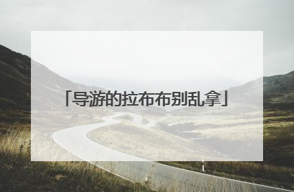 导游的拉布布别乱拿