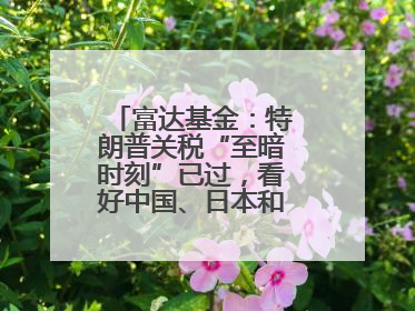 富达基金：特朗普关税“至暗时刻”已过，看好中国、日本和德国中型股！