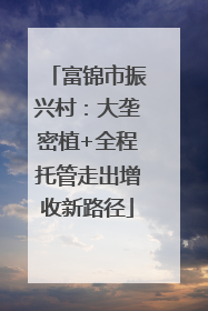 富锦市振兴村：大垄密植+全程托管走出增收新路径