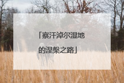 察汗淖尔湿地的涅槃之路